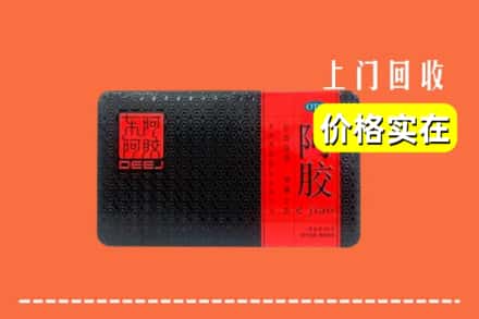 三门峡市灵宝回收阿胶