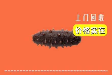 三门峡市灵宝回收海参