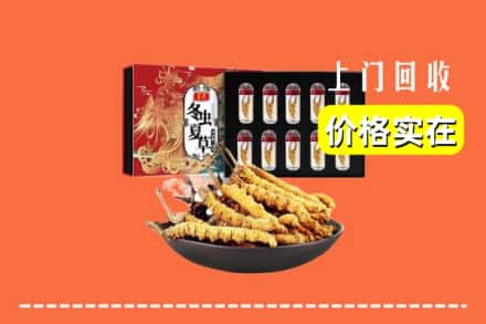 三门峡市灵宝回收虫草